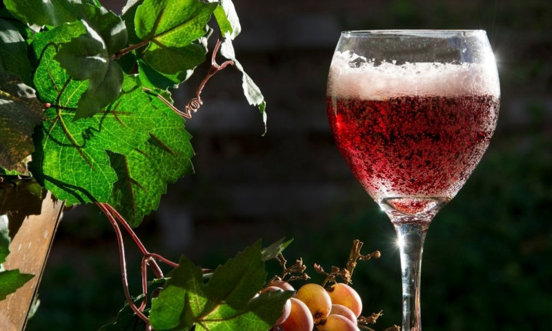 Lambrusco e vini italiani popolari all'estero