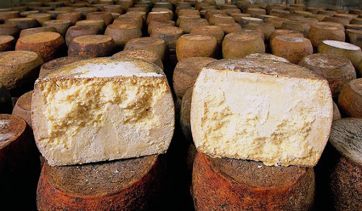 formaggi tipici della sardegna: guida per i buyer
