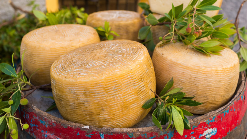 Pecorino di Nule