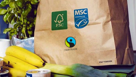 Most common ESG labels