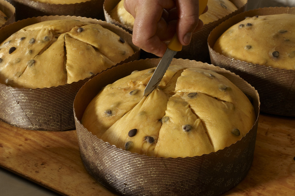 Import italian panettone; buy direct from the producers
