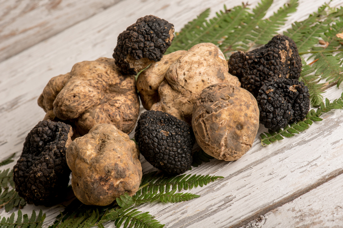 Le caratteristiche del tartufo, dove trovarlo e come utilizzarlo in cucina